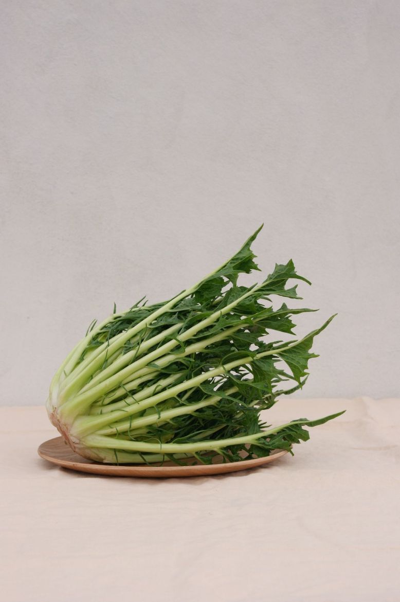 Immagine di Cicoria Puntarelle