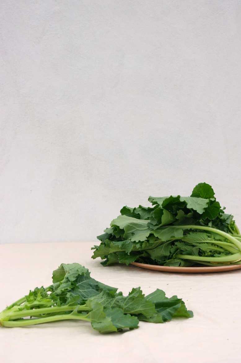 Immagine di Cima di Rapa