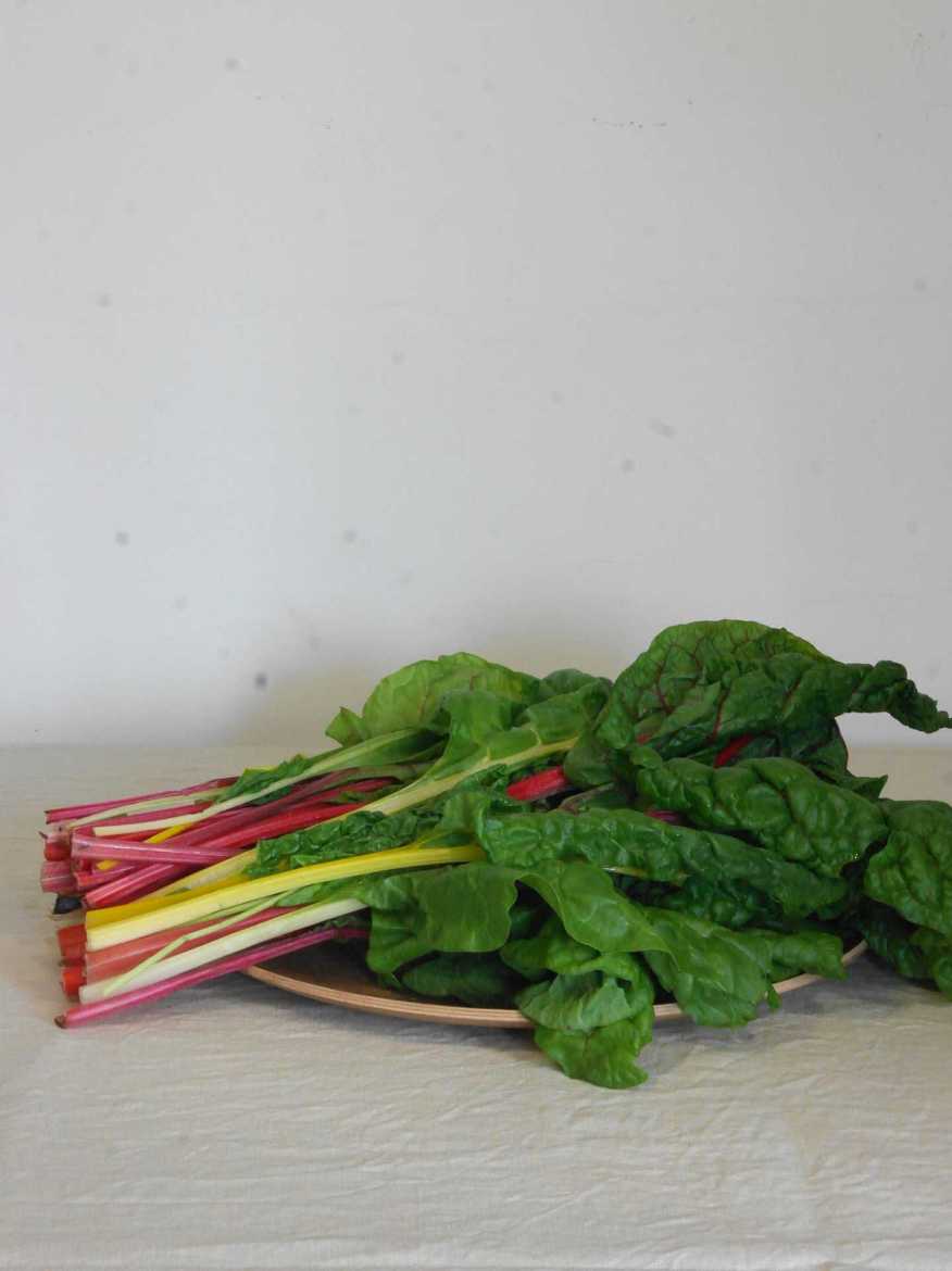 Immagine di Erbette Colorate