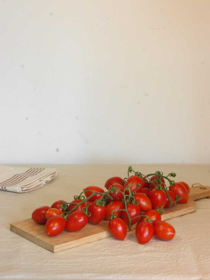 Immagine di Pomodoro Piccadilly