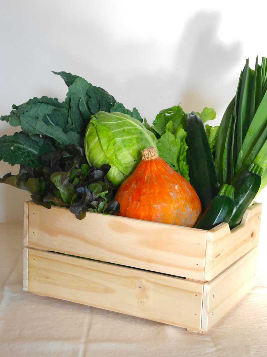 Immagine di Box CORBARI