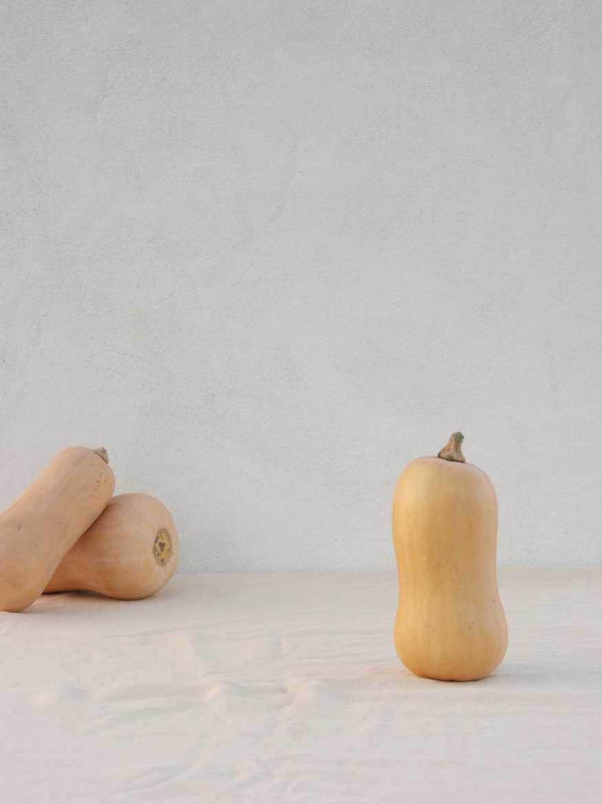 Immagine di Zucca Violina