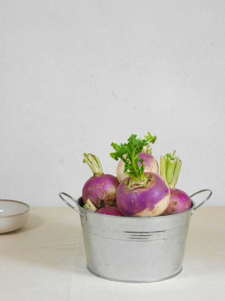 Immagine di Rapa Colletto Viola