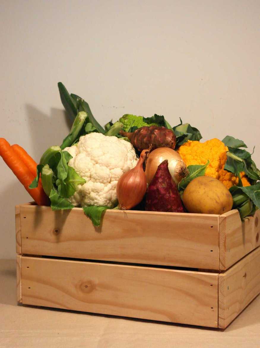 Immagine di Box VERDURA L