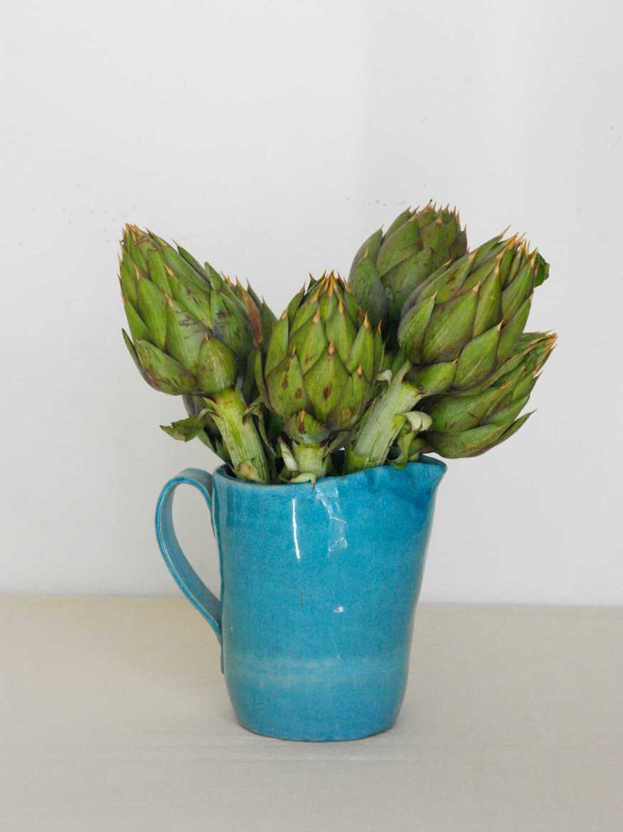 Immagine di Carciofo Spinoso